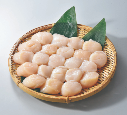 刺身用帆立貝柱500g　26-601025